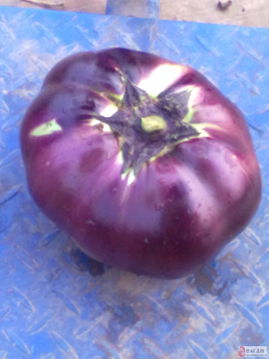 農(nóng)產(chǎn)品銷售與農(nóng)作物種子經(jīng)營(yíng)的融合發(fā)展策略